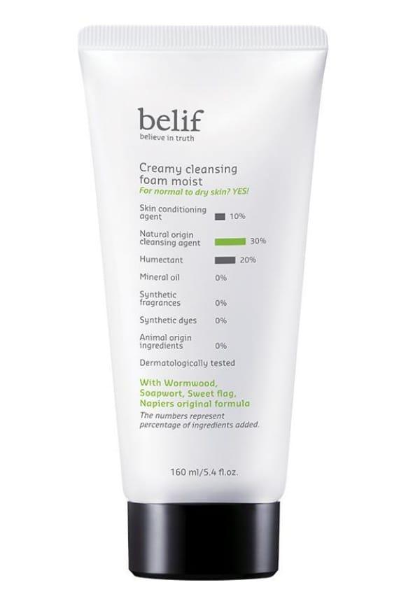 Creamy Cleansing Foam Moist