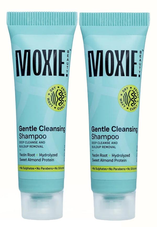Gentle Cleansing Sulphate Free Shampoo For Dry & Frizzy Hair