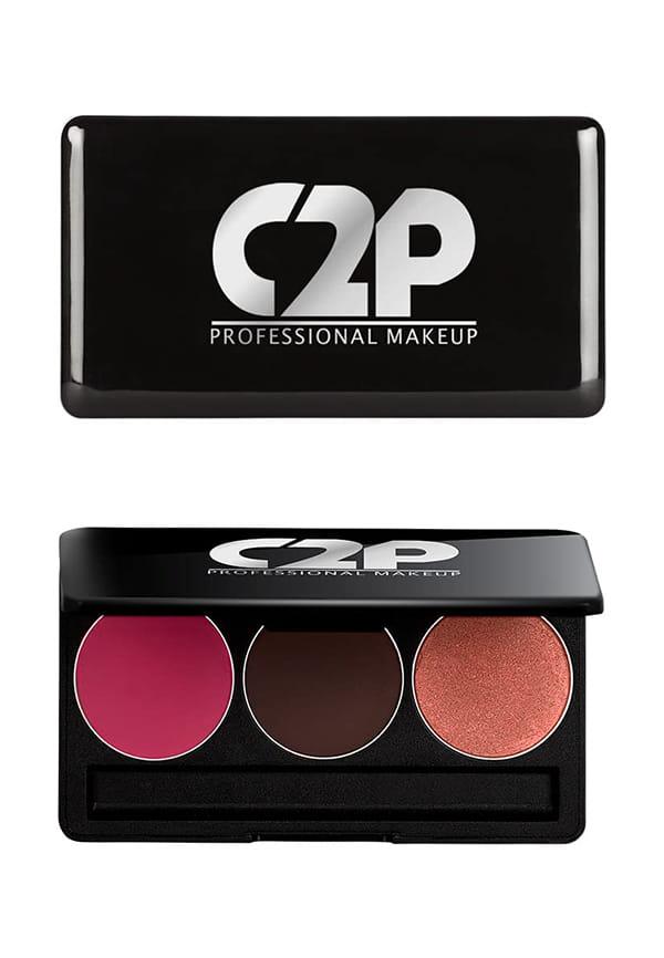 Basic Trio 2 (Blusher-Contour-Highlighter) | 3-in-1 Multipurpose Skin Friendly Trio Kit | Powder Based Long Lasting Makeup