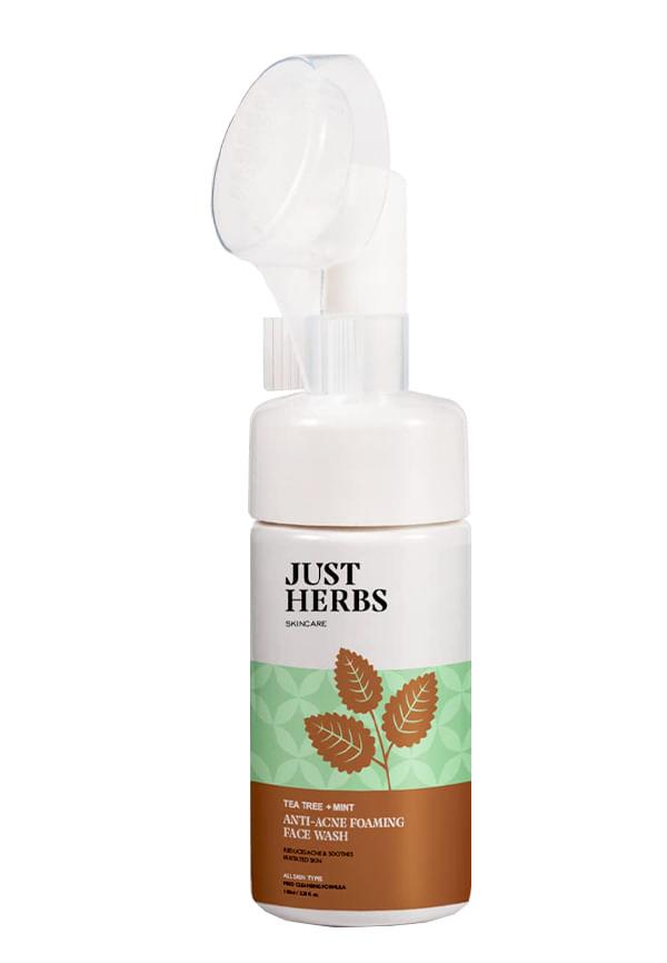 Tea Tree + Mint Anti-Acne Foaming Face Wash