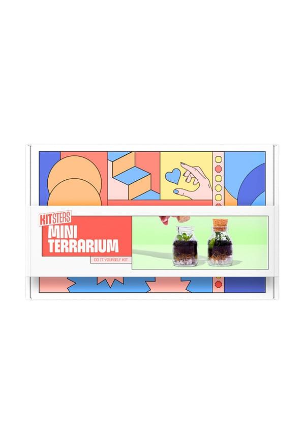DIY Mini Terrarium Kit
