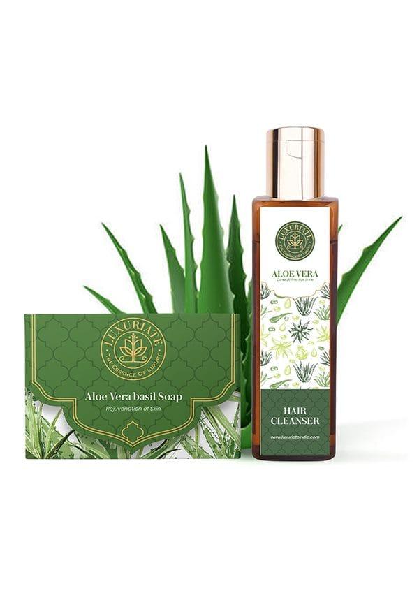 Naturally Refreshing Aloe Vera and Basil Soaps for Rejuvenatioon combo pack of 2