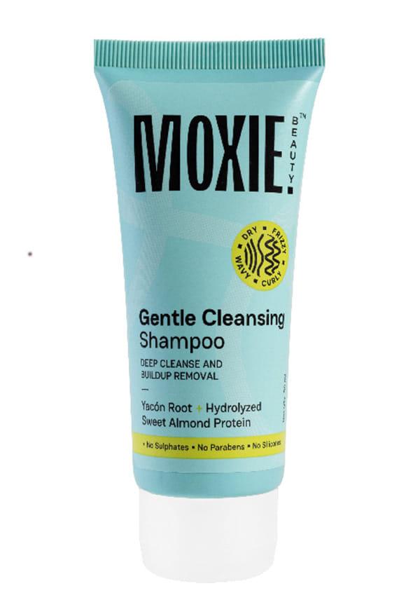 Gentle Cleansing Sulphate Free Shampoo For Dry & Frizzy Hair
