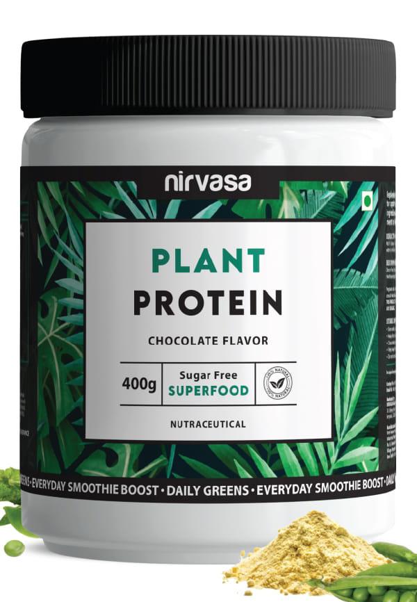 Plant Protein Powder with Pea & Brown Rice Proteins | Chocolate Protein Powder