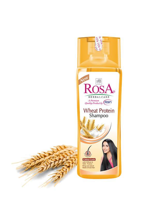 Wheat protien shampoo with wheat and milk protiens l Natural & Herbal ingredients