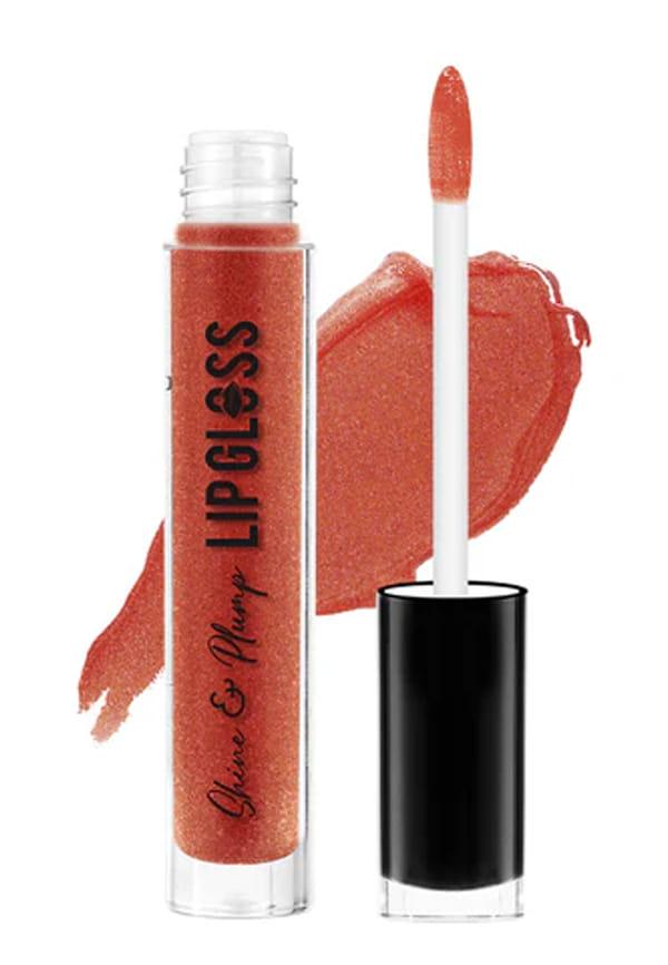 Shine & Plump Lip Gloss