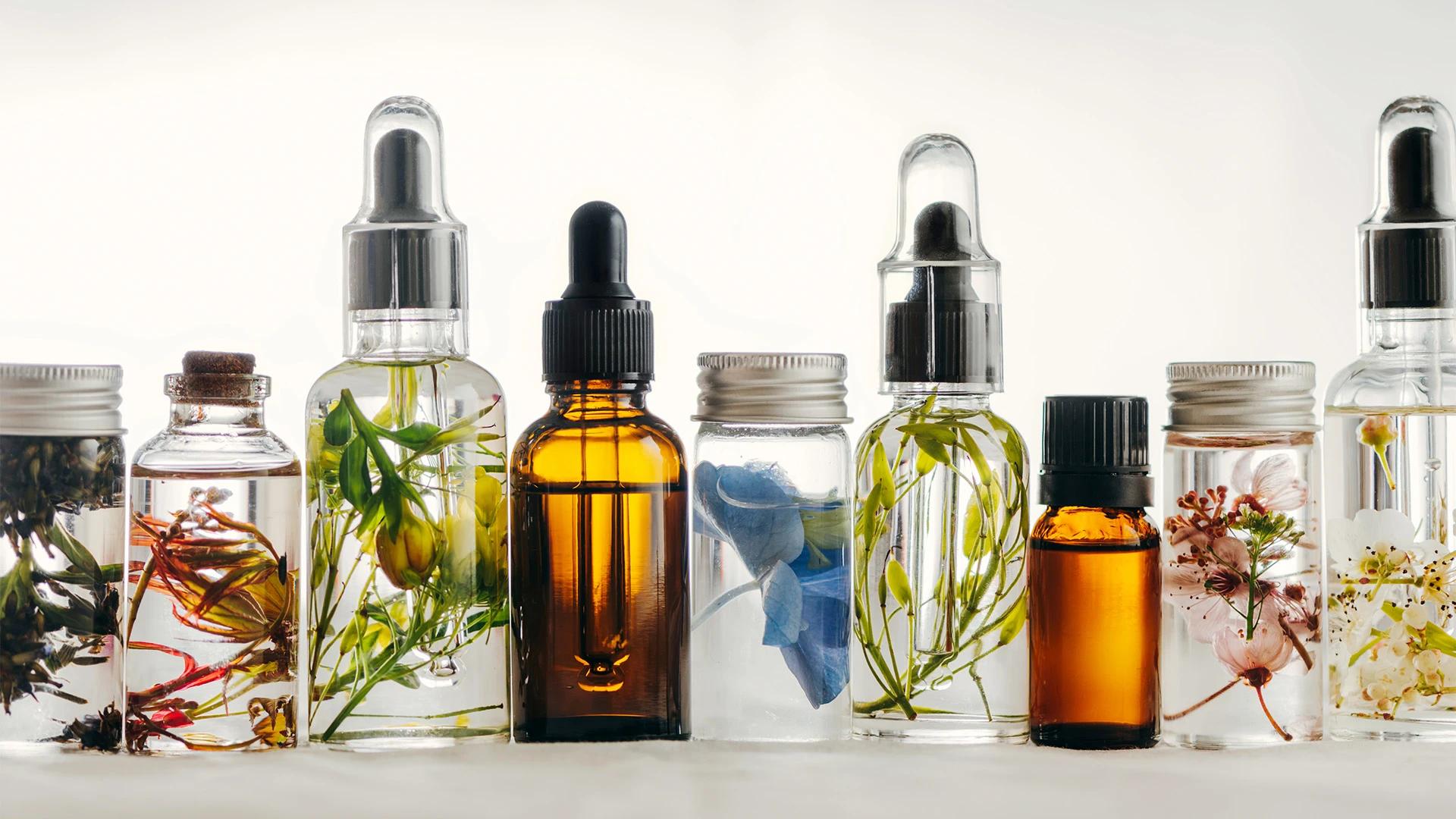 7 Herbal Remedies to Conquer Sleep Naturally