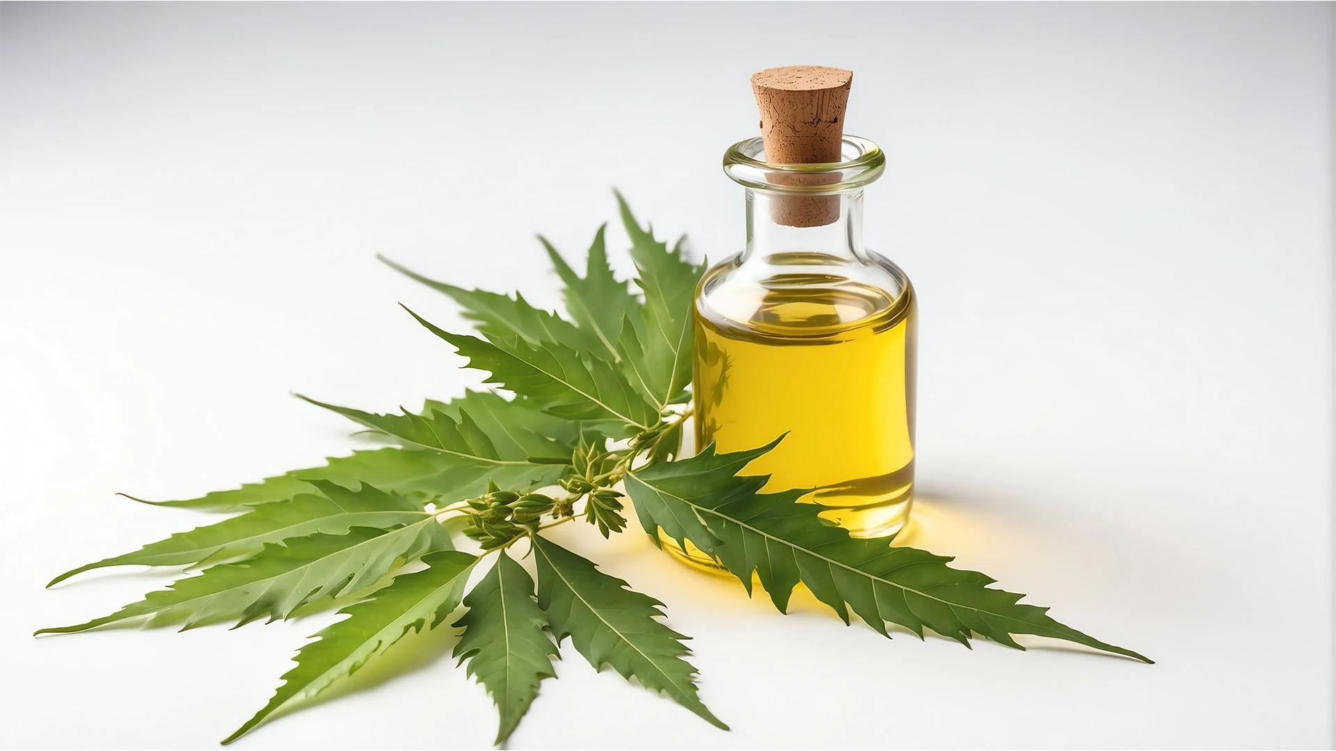 7 Powerful Neem Face Pack Benefits for Radiant Skin