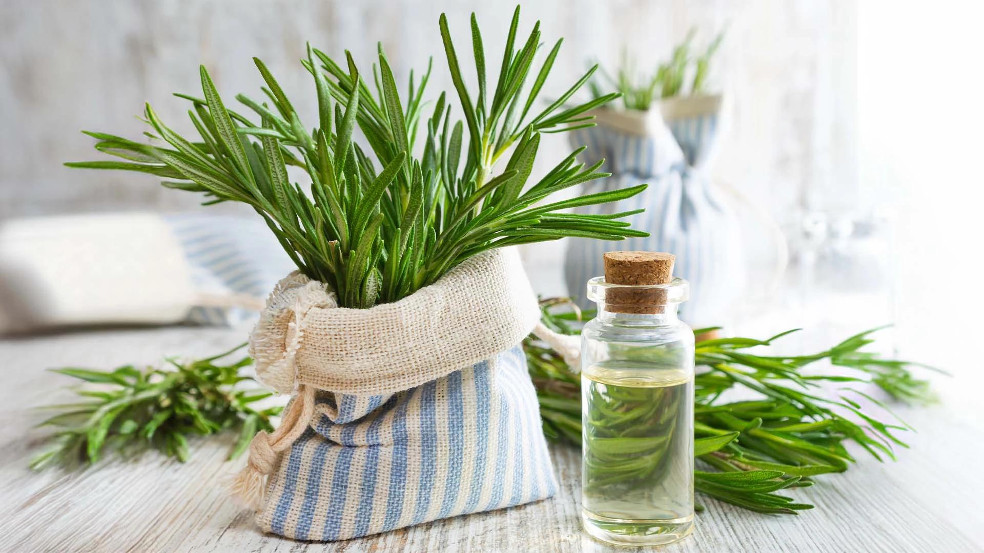 7 Proven Ways Rosemary Oil Boosts Hair Regrowth