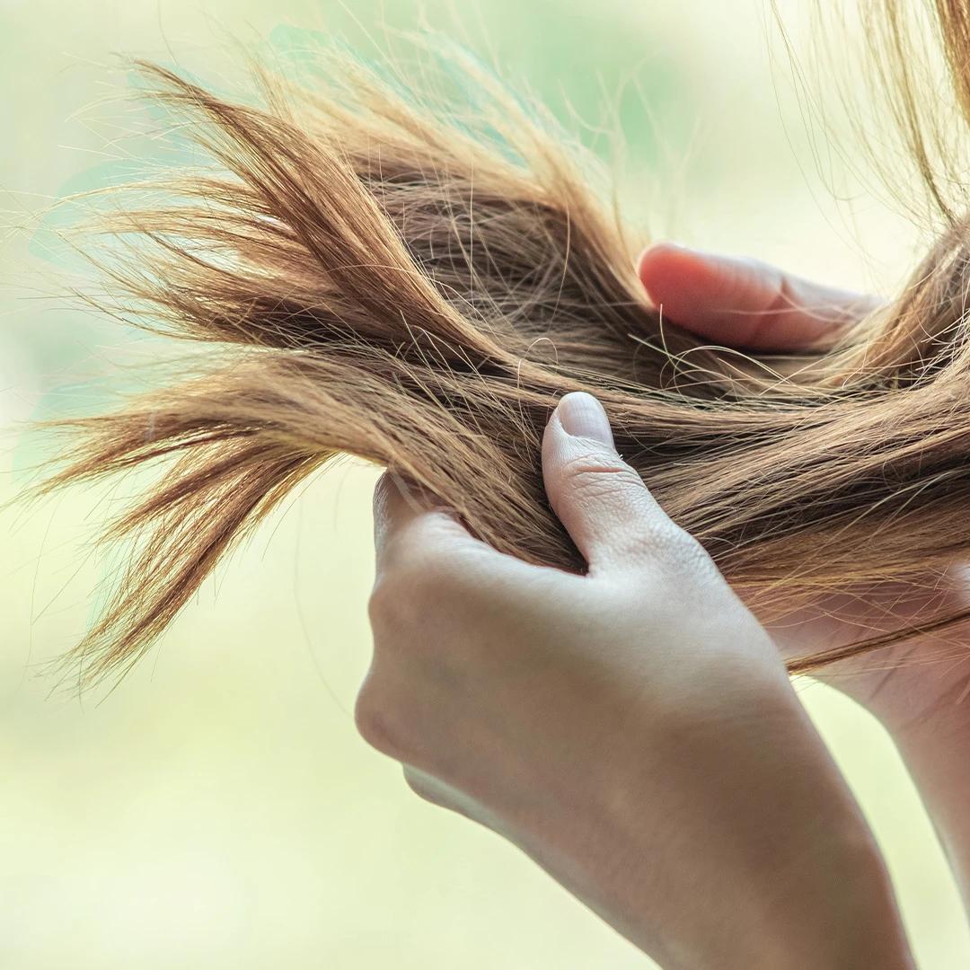 8 Effective Remedies to Tame Split Ends and Revive Hair