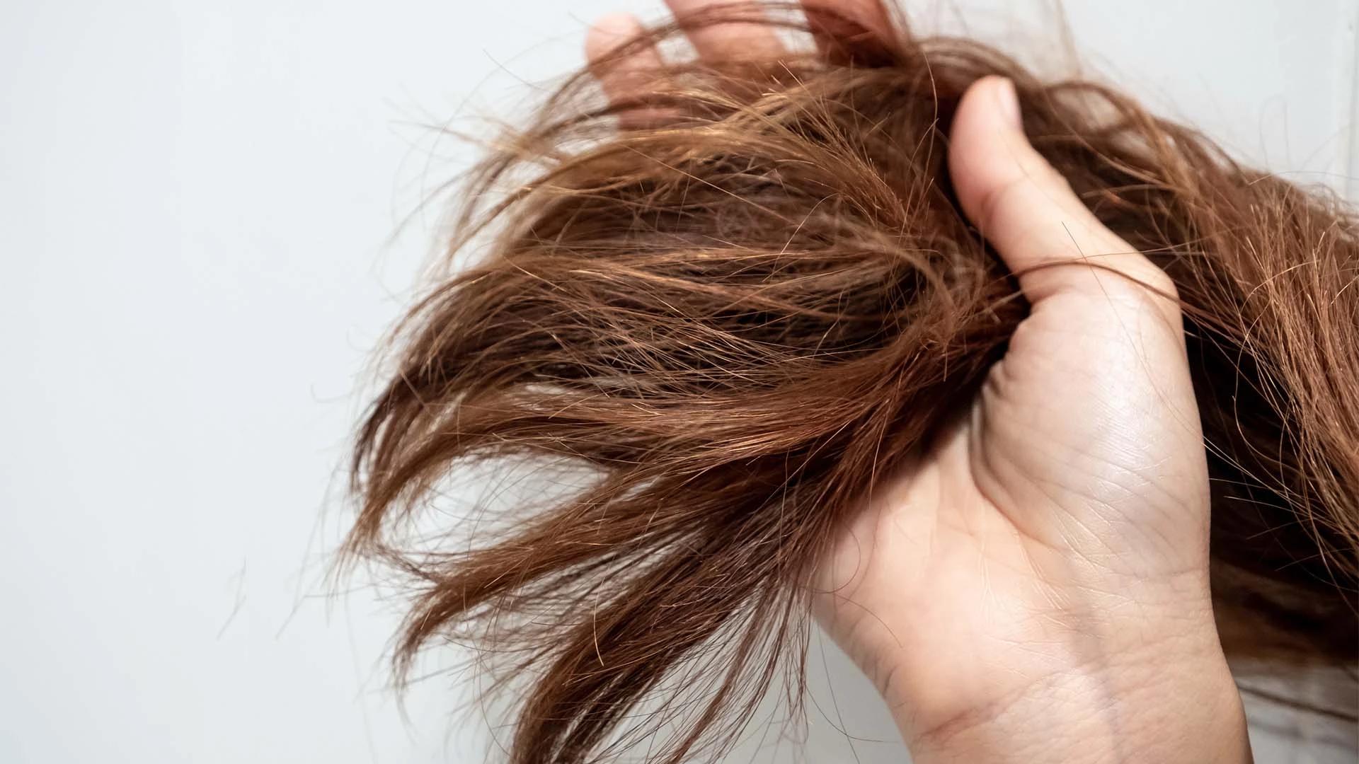 9 Ways Silk Protein Hair Treatment Repairs Damaged Hair