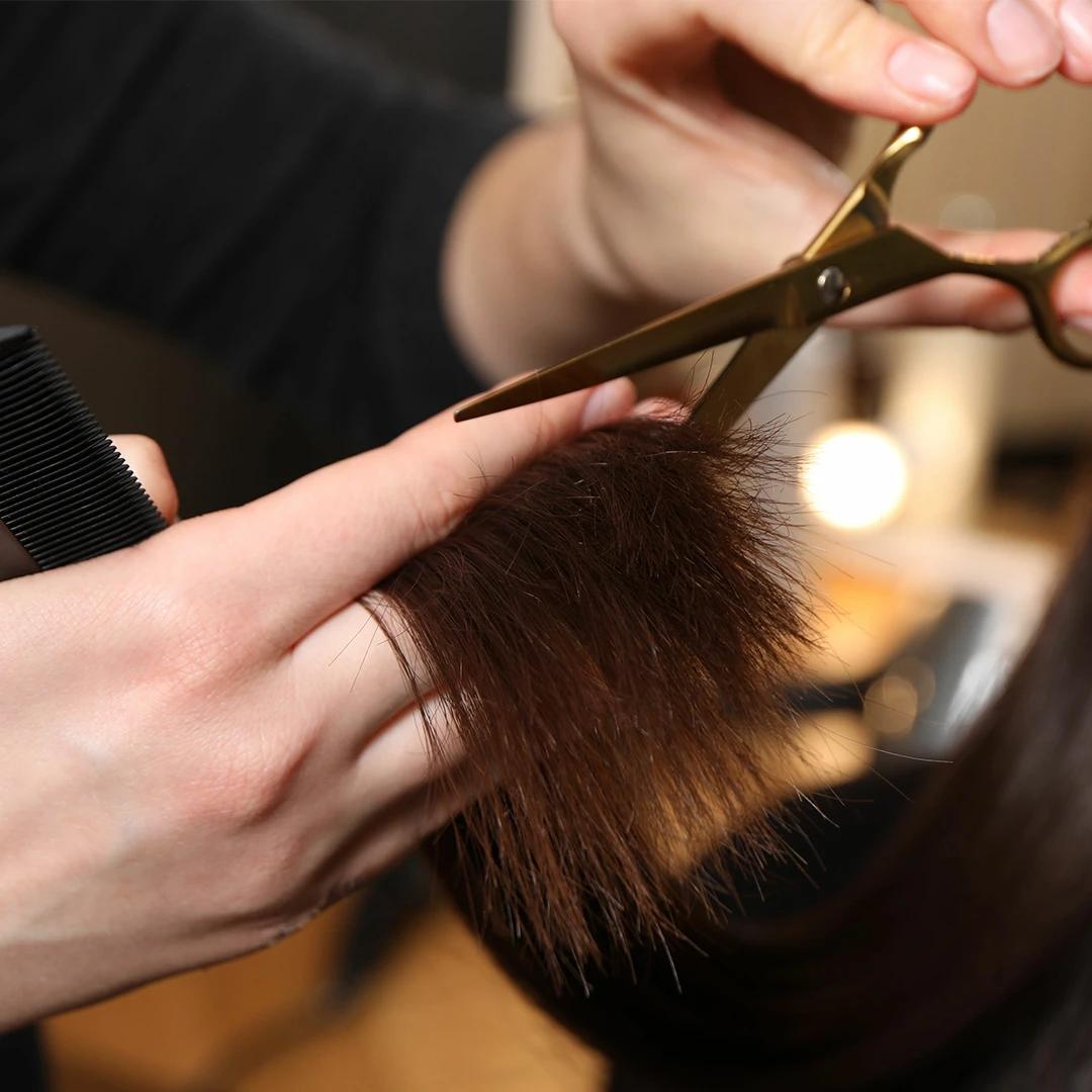 Feather Hair Cut 101: A Step-by-Step Tutorial