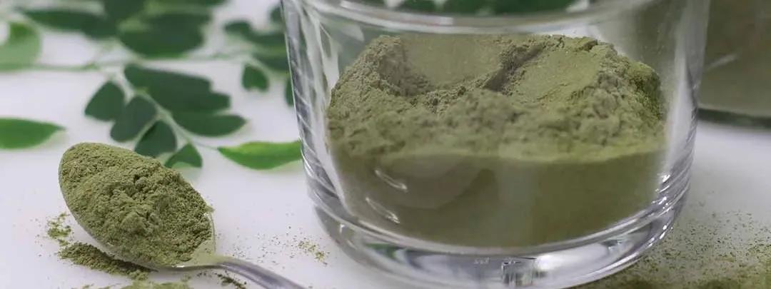 Shatavari Powder 101: A Step-by-Step Guide to Benefits