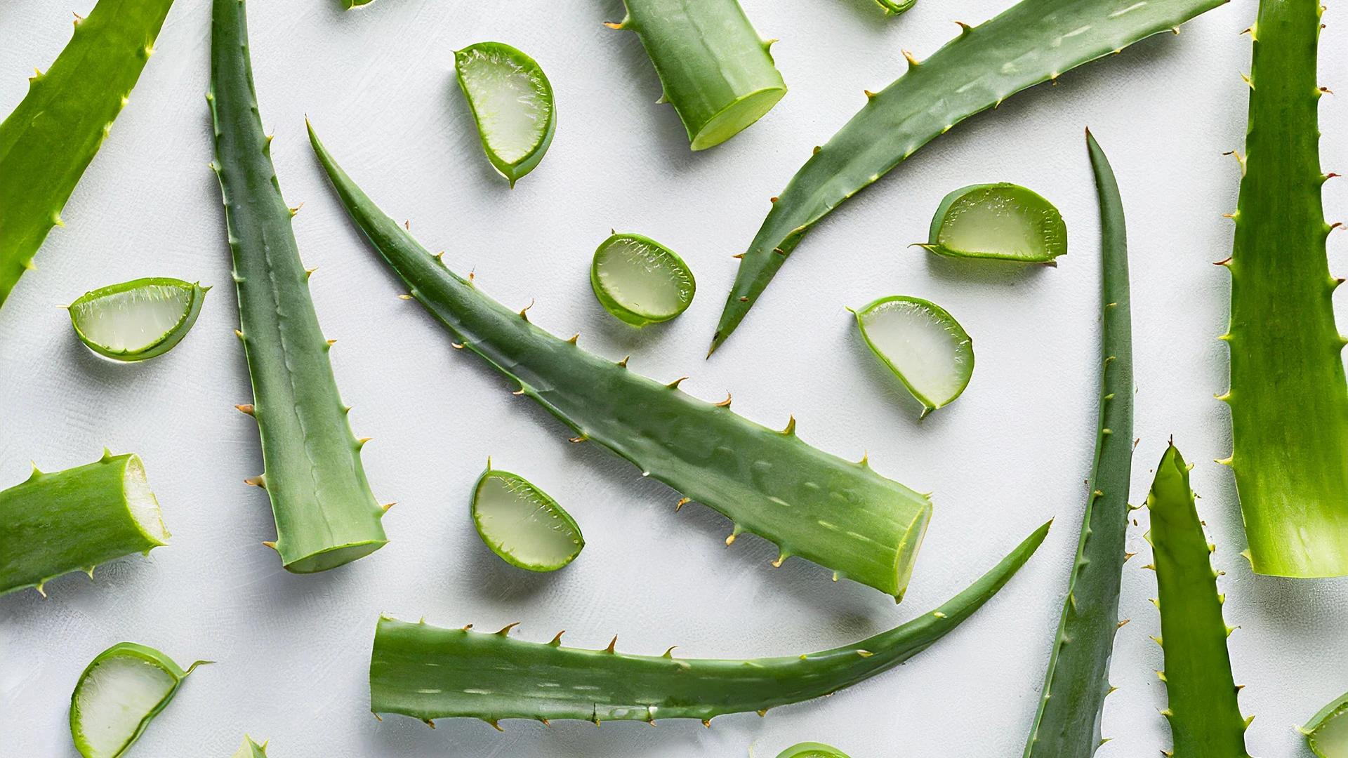 How to Achieve Glowing Skin with Aloe Vera Face Wash