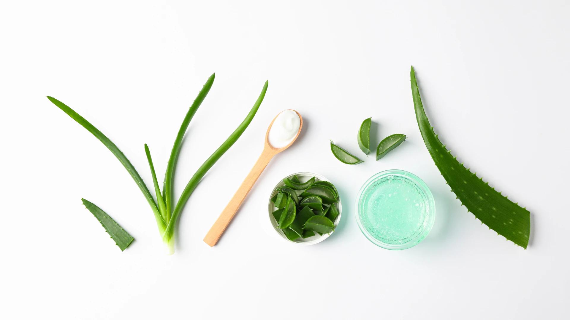 How to Use Aloe Gel for Soothing Skin & Hair Benefits