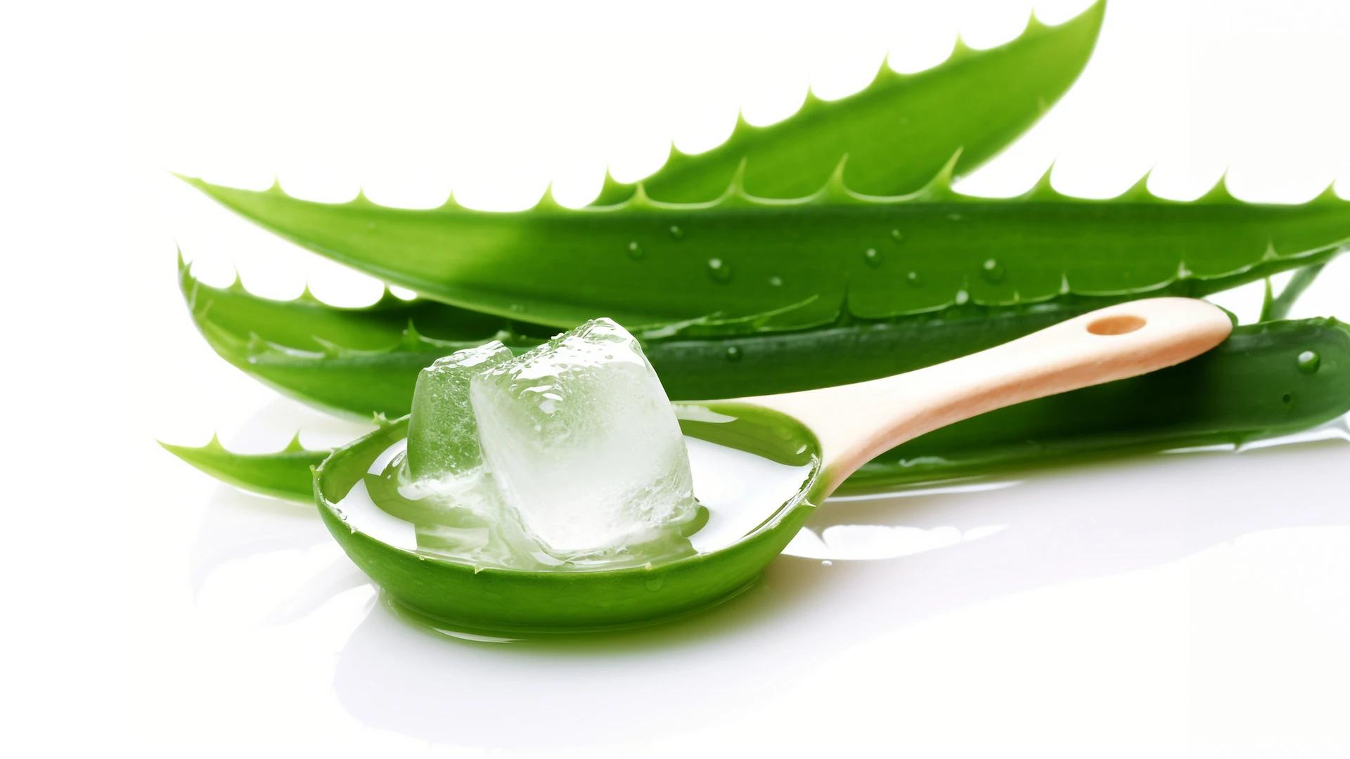 How to Use Aloe Vera for Radiant, Healthy Skin
