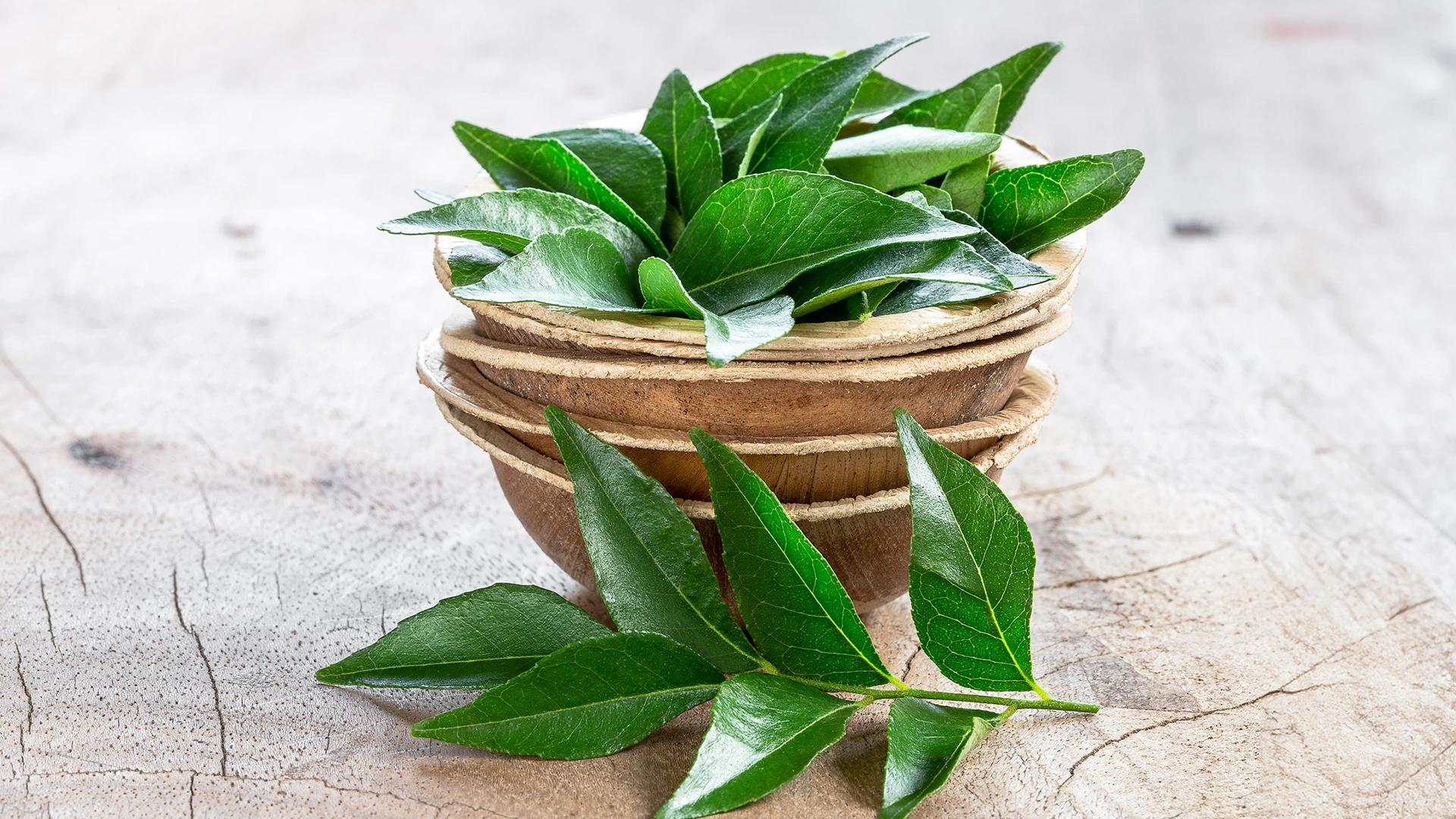 How to Use Ayurvedic Herbs Plants for Natural Wellness