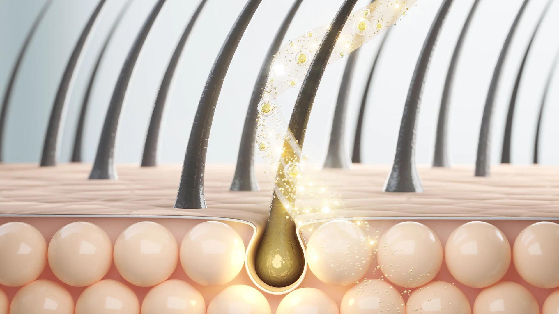 How to Use Bhringraj Hair Oil for Luscious, Healthy Hair