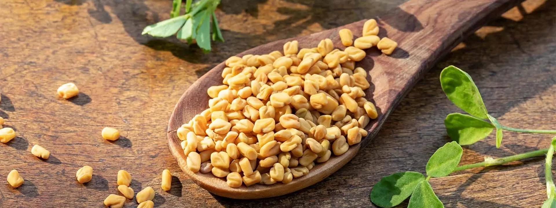 How to Use Fenugreek Seeds for Healthy, Lustrous Hair