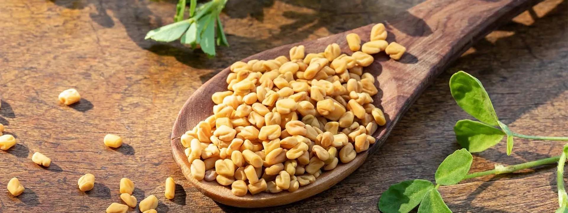 How to Use Fenugreek Water for Glowing Skin