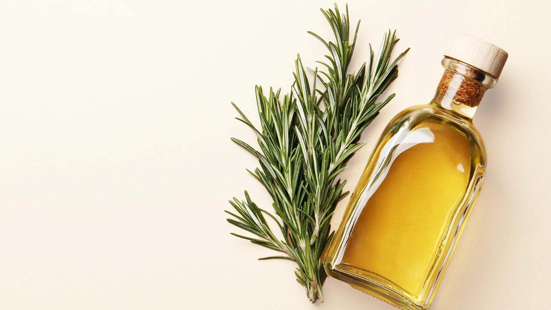 Rosemary for Hair Loss FAQ: Your Questions Answered
