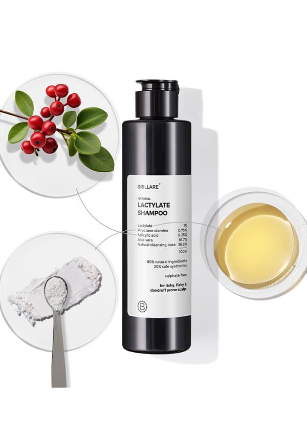 Lctylate Shampoo