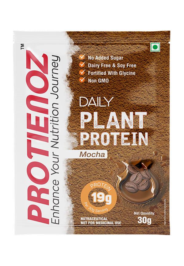High Protein Mocha Protein Powder